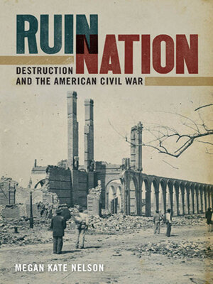 cover image of Ruin Nation